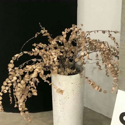 乌什FurryQQ群介绍